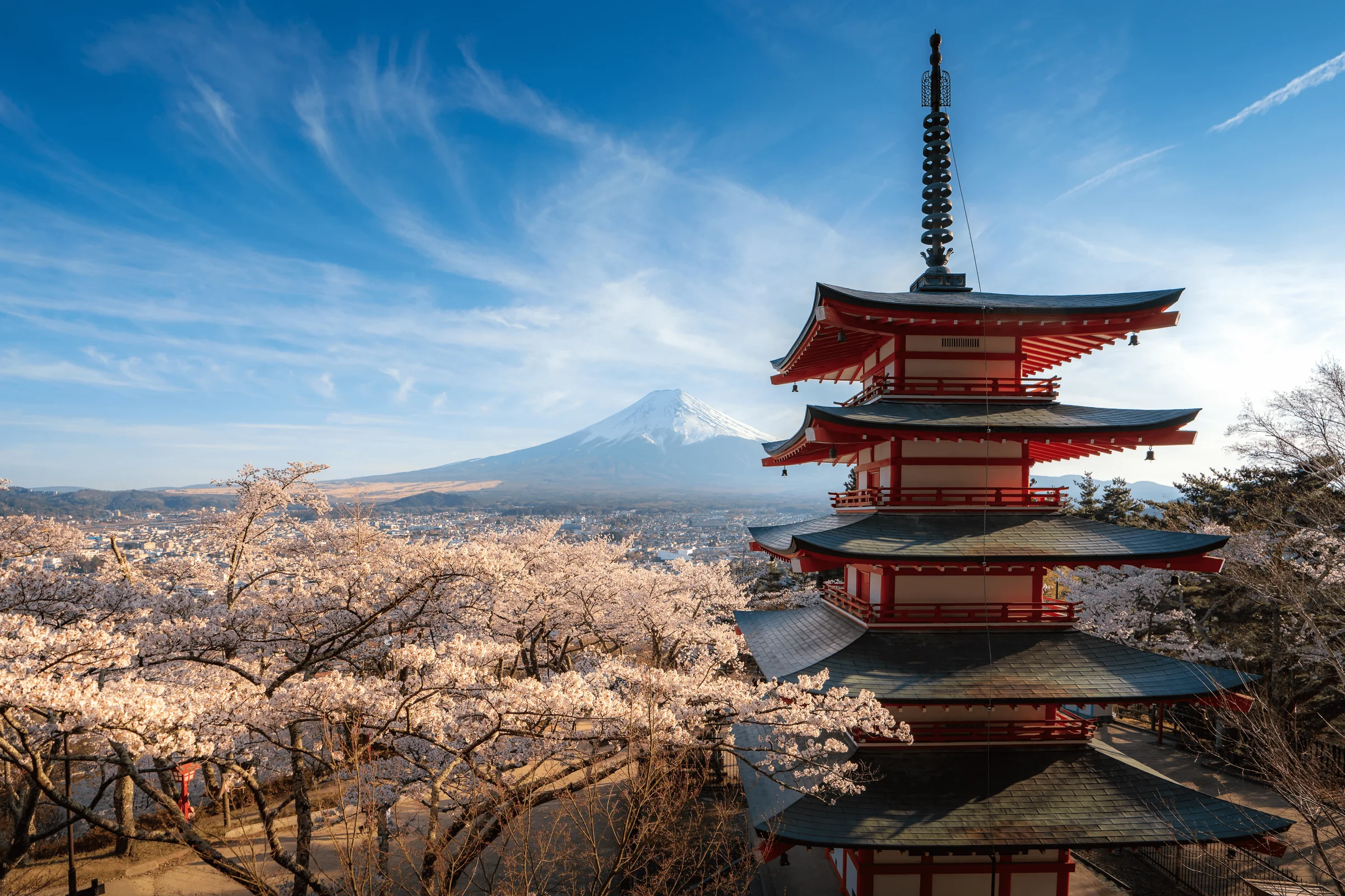 L'élégance japonaise à votre portée