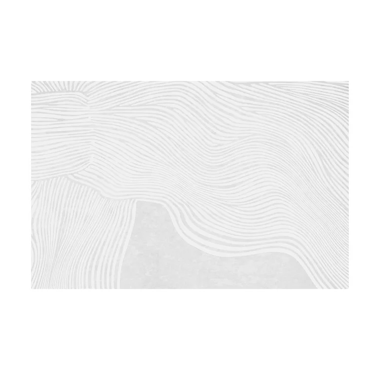 Tapis de salon Japonais en peluche - Image 6